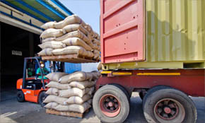 Import Turmeric from Pakistan